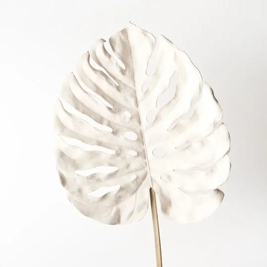 Monstera Leaf