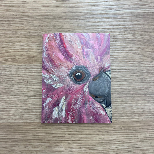 Galah Gift Card