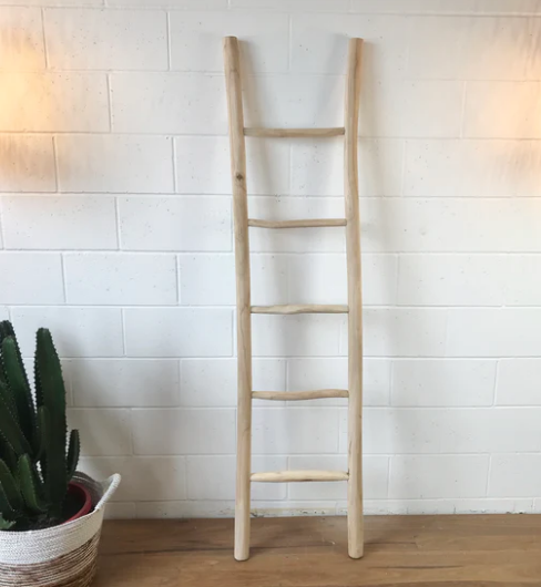 Small Teak Ladder