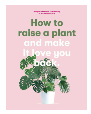 How To Raise A Plant