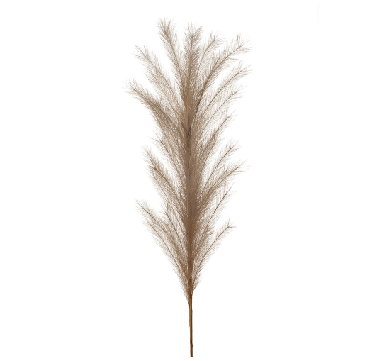 Pampas Grass Spray - Stem