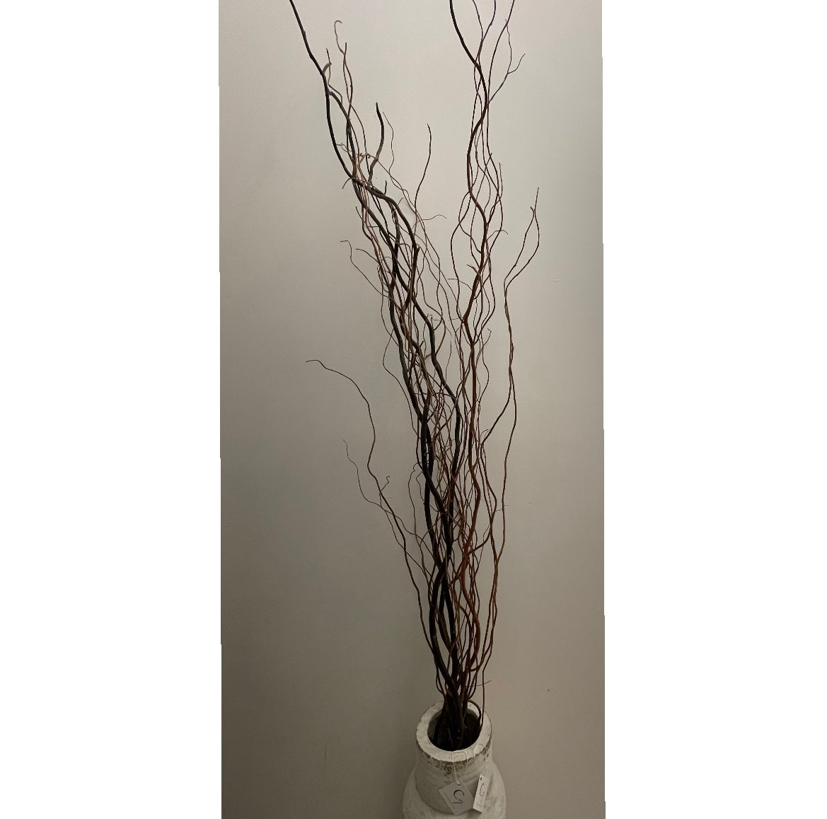 Twisted Willow Natural - Stem